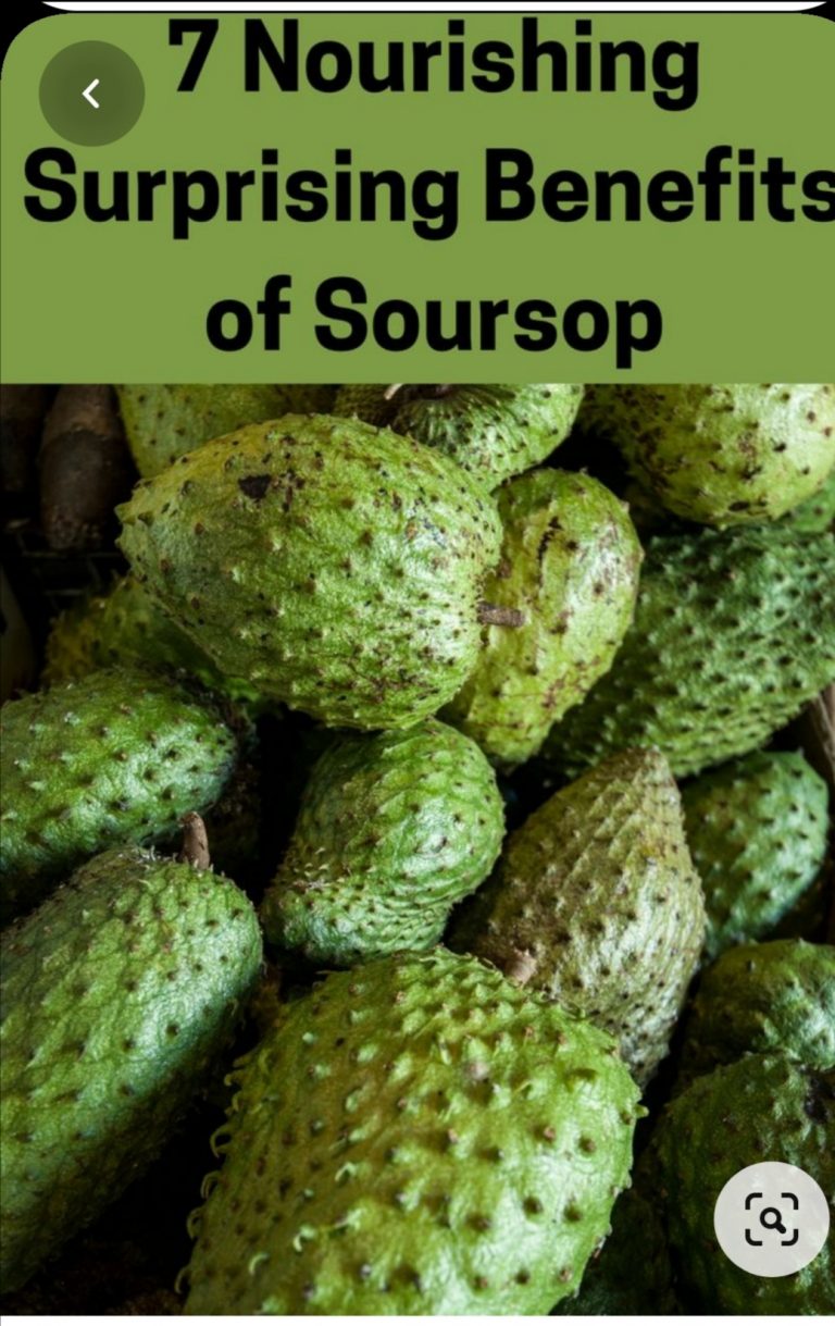 7 Amazing Health Benefits Of Soursop Tinuolasblog