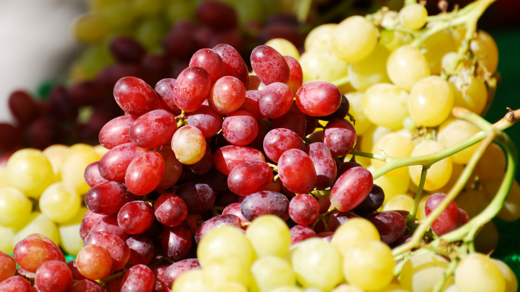 11 Amazing Health Benefits of Consuming Grapes Daily - Tinuolasblog